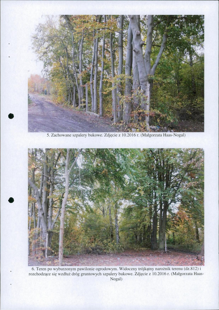 Ewidencja parkowa, skan nr 19