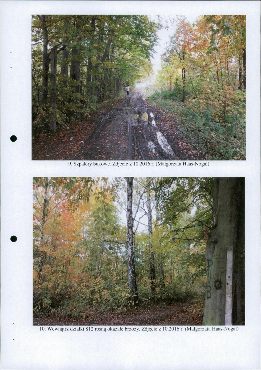Ewidencja parkowa, skan nr 21