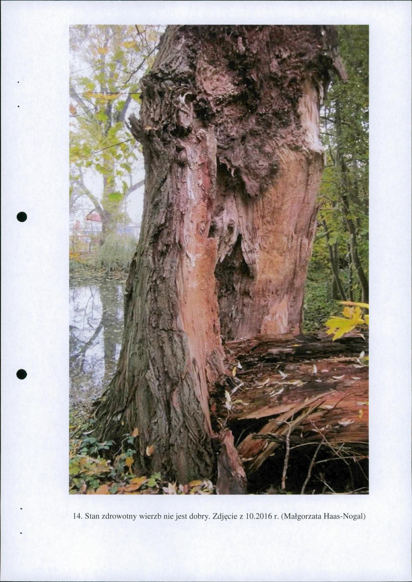 Ewidencja parkowa, skan nr 24