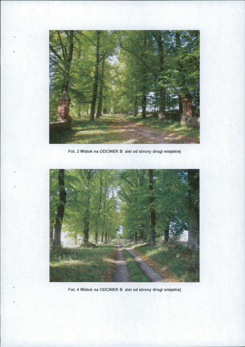 Ewidencja parkowa, skan nr 11