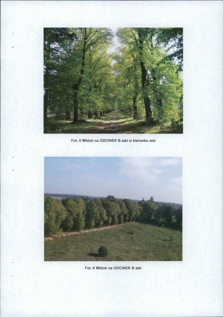 Ewidencja parkowa, skan nr 12