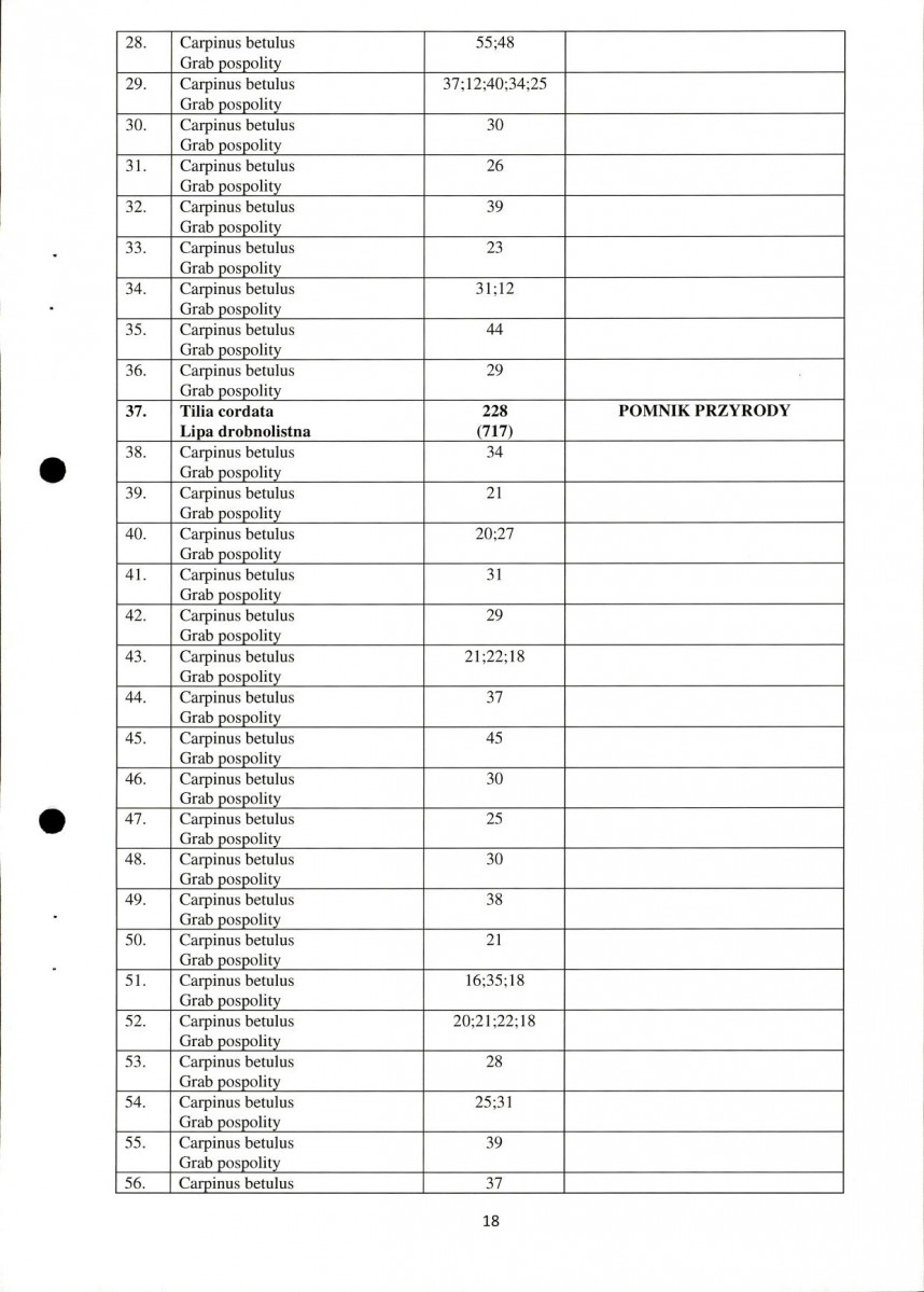 Ewidencja parkowa, skan nr 18