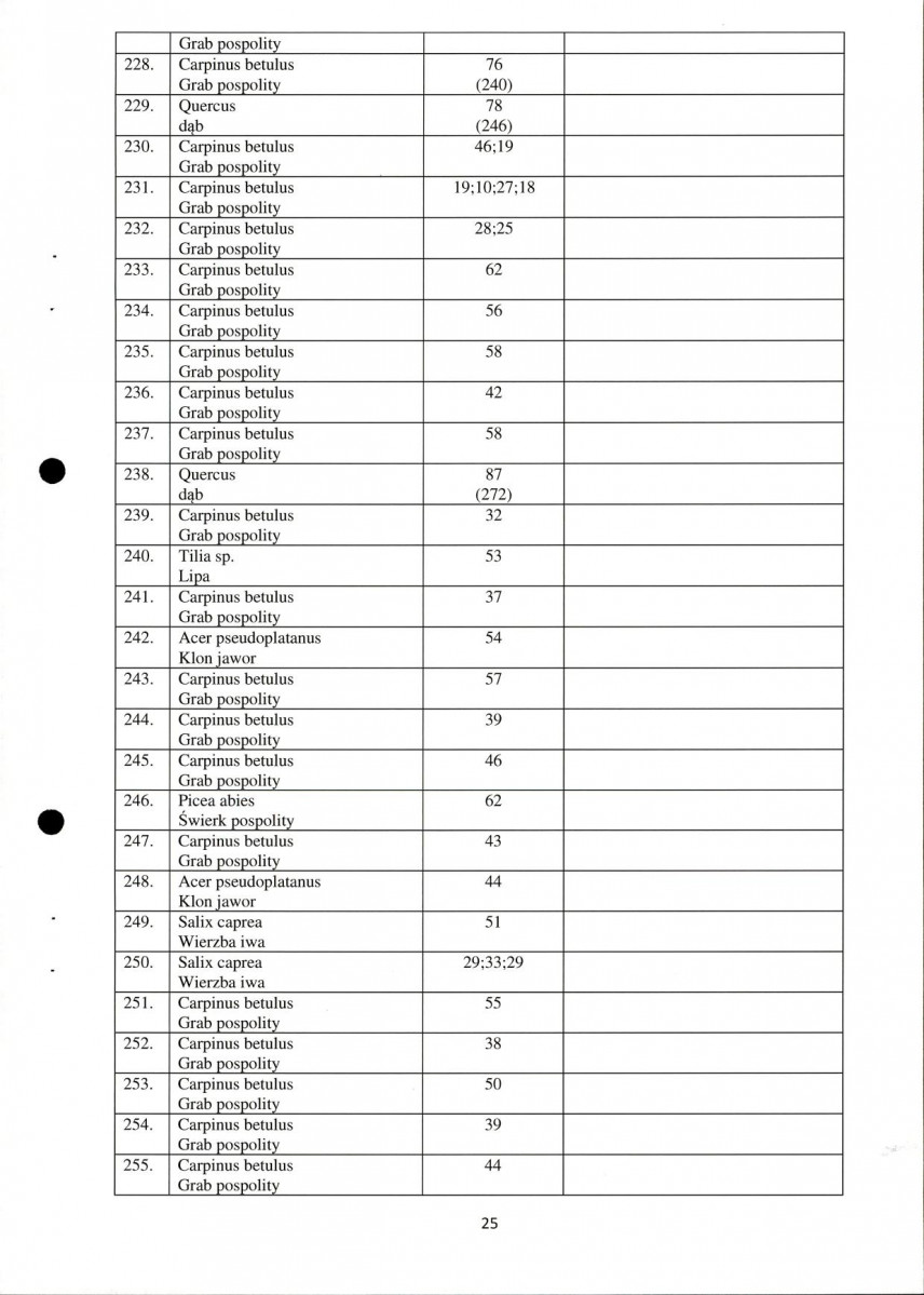 Ewidencja parkowa, skan nr 25