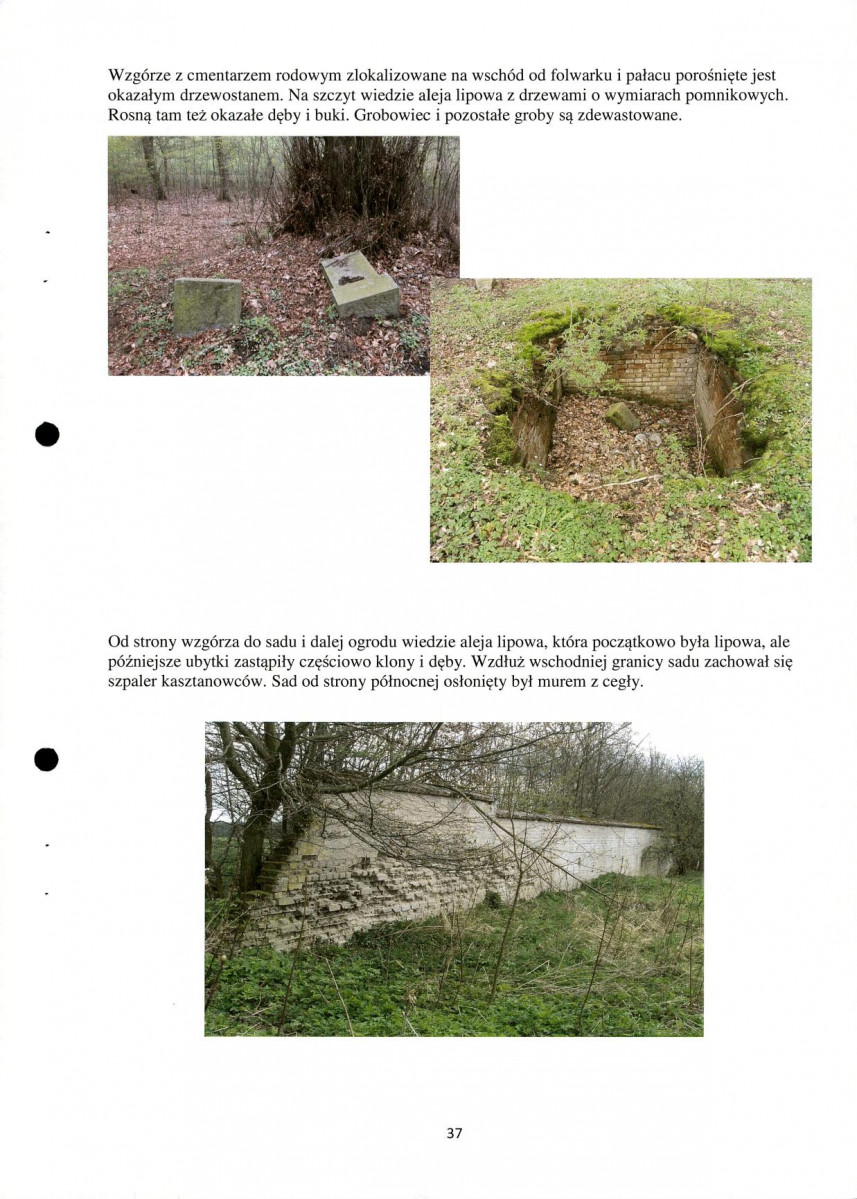 Ewidencja parkowa, skan nr 37