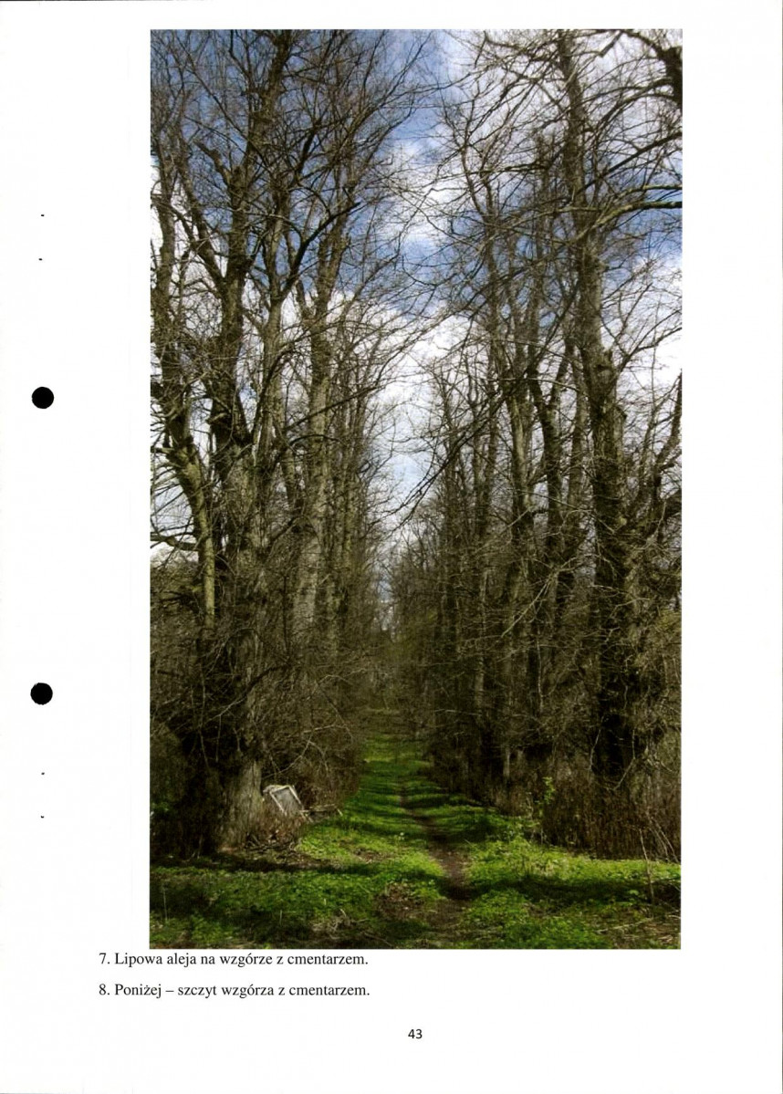 Ewidencja parkowa, skan nr 43