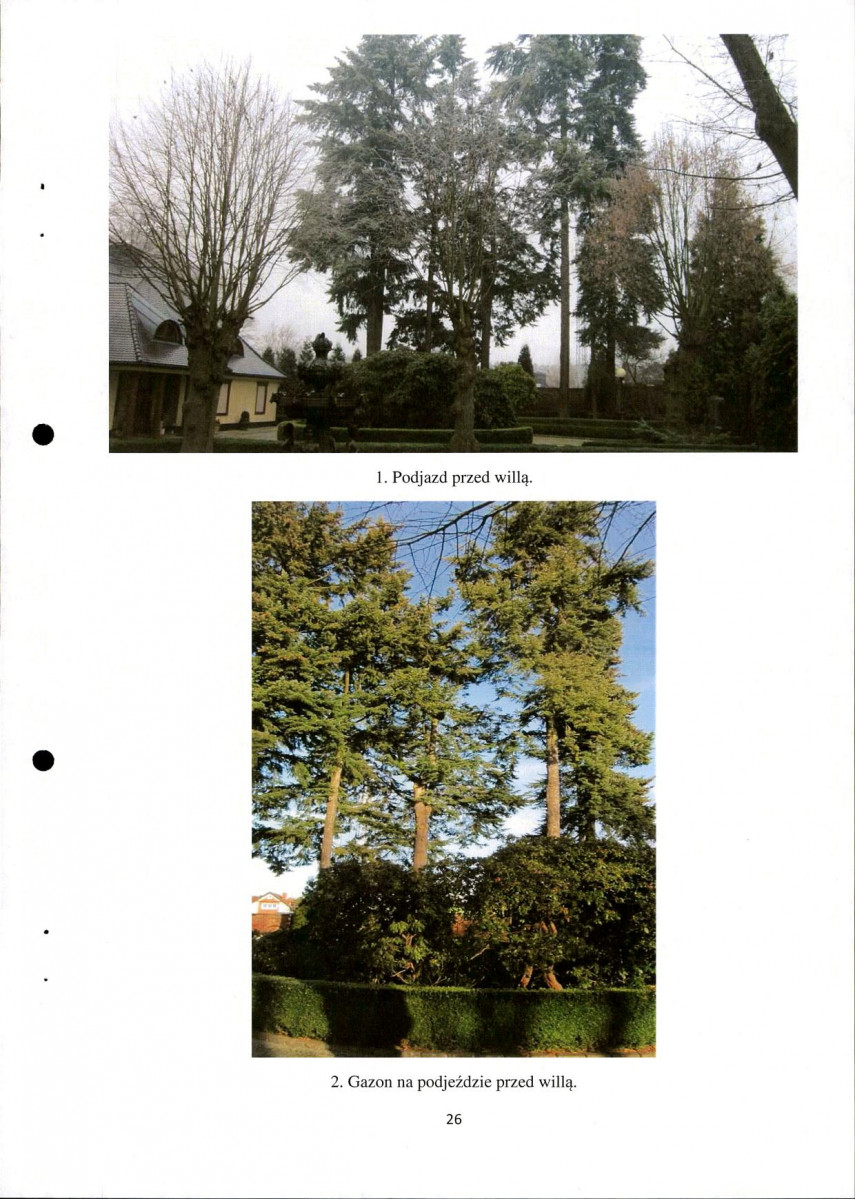 Ewidencja parkowa, skan nr 26