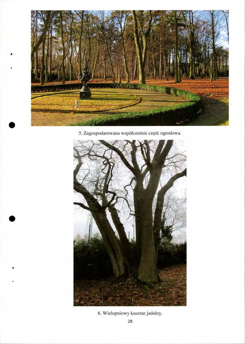 Ewidencja parkowa, skan nr 28