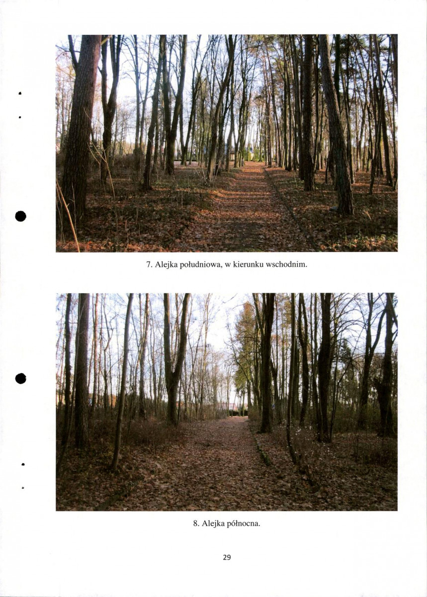 Ewidencja parkowa, skan nr 29