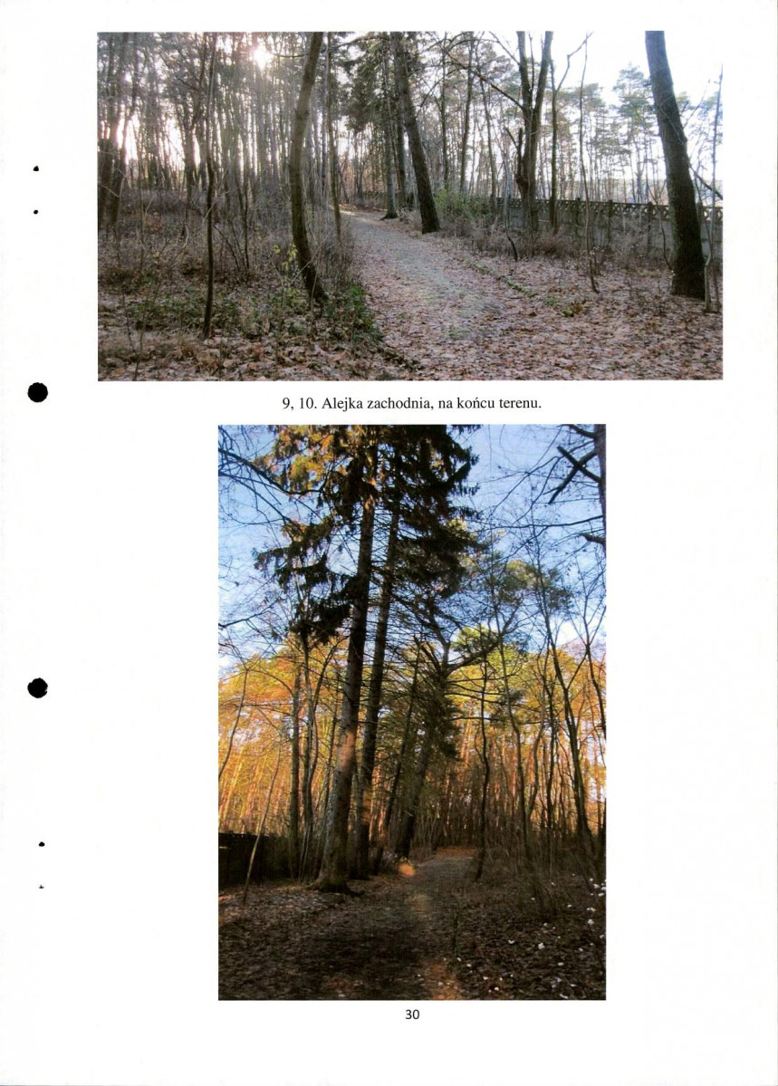 Ewidencja parkowa, skan nr 30
