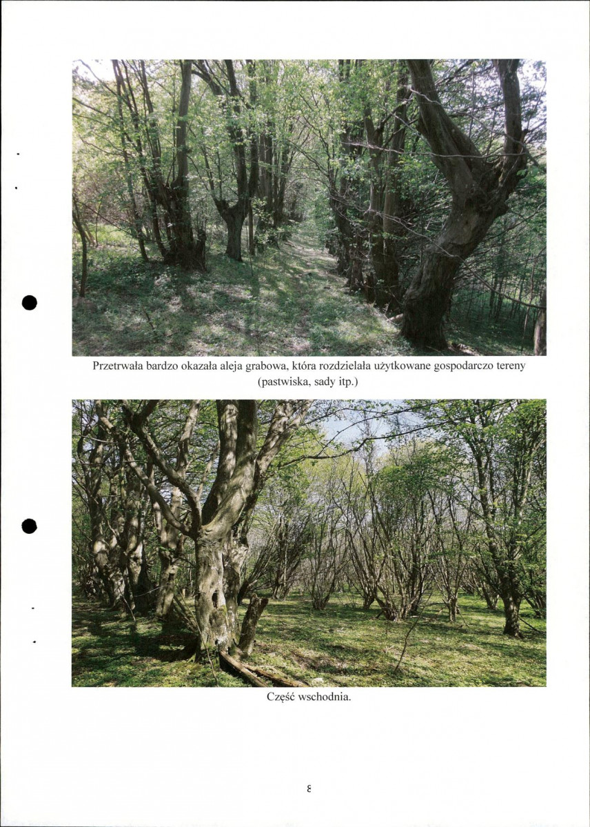 Ewidencja parkowa, skan nr 8