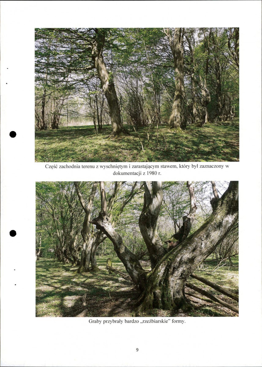 Ewidencja parkowa, skan nr 9