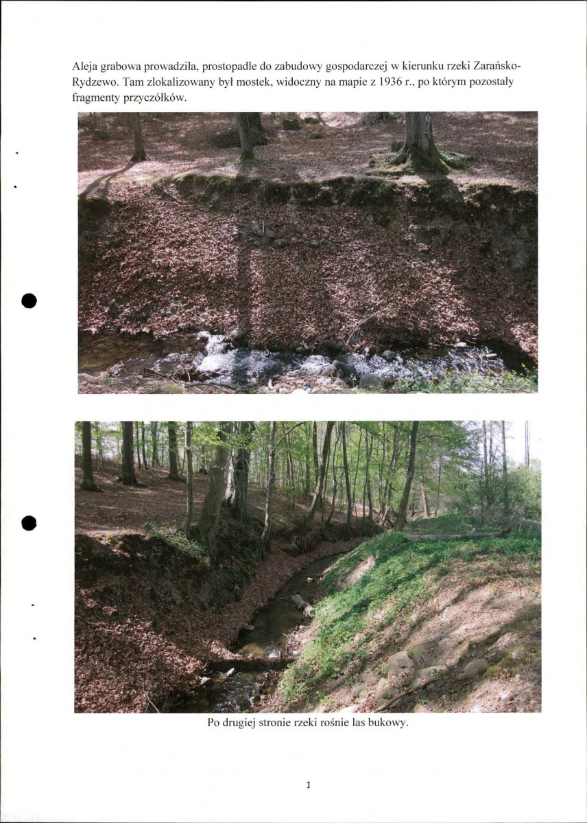 Ewidencja parkowa, skan nr 10