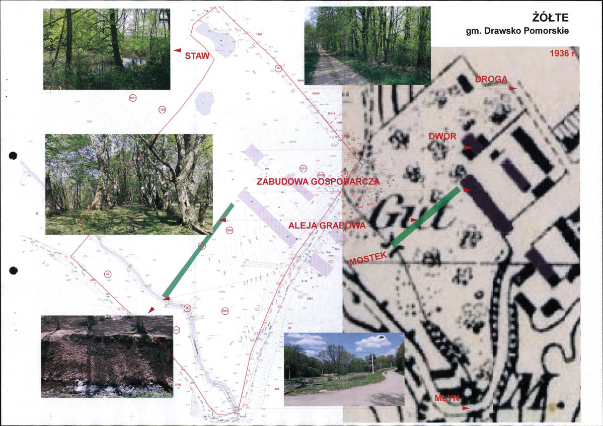 Ewidencja parkowa, skan nr 15