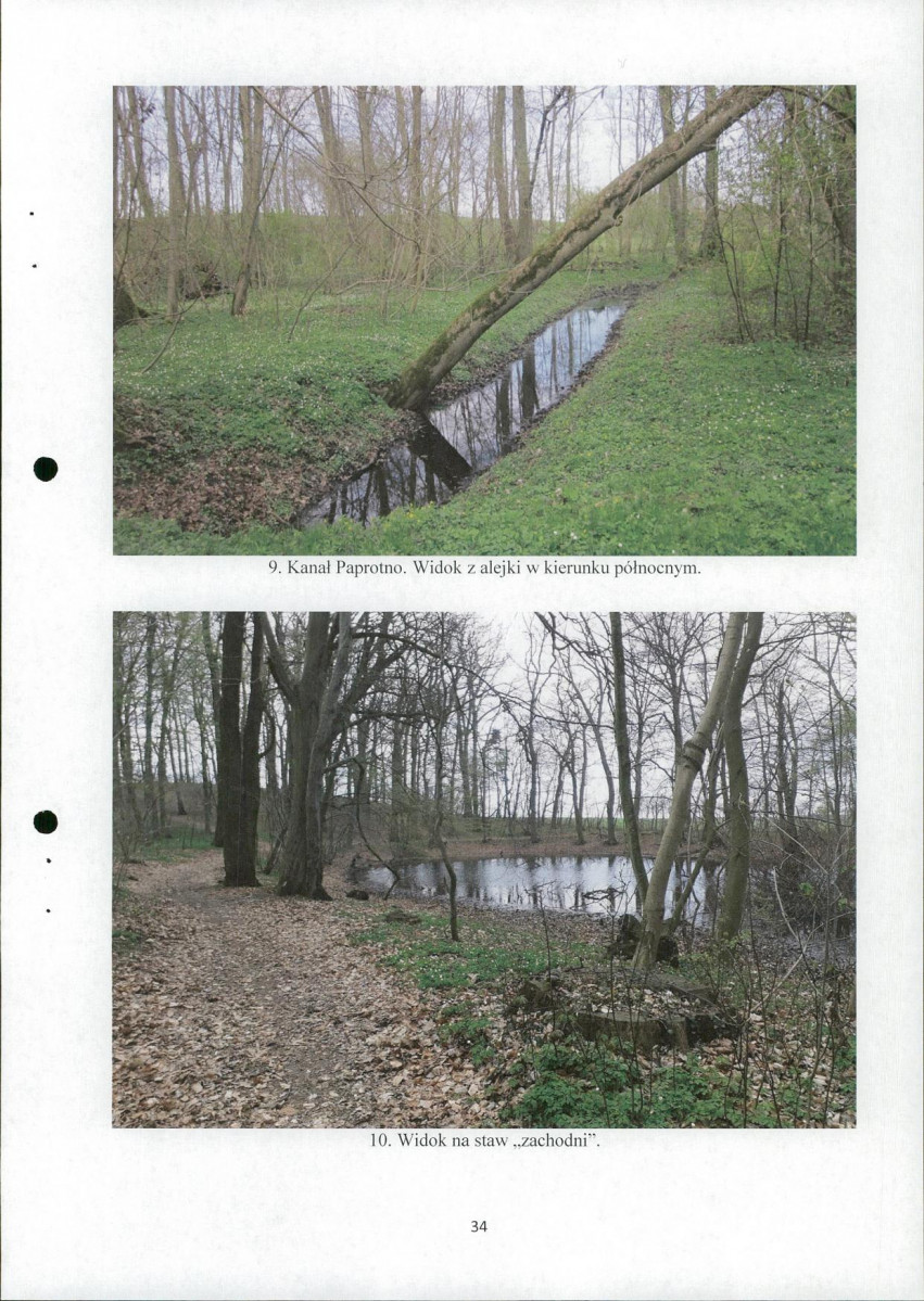 Ewidencja parkowa, skan nr 34