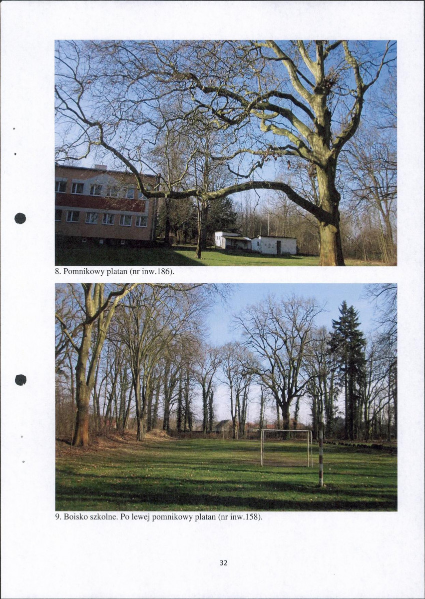 Ewidencja parkowa, skan nr 32