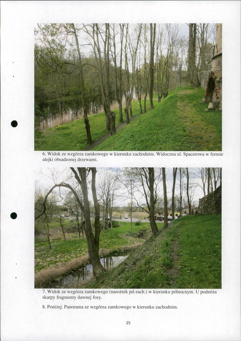 Ewidencja parkowa, skan nr 25
