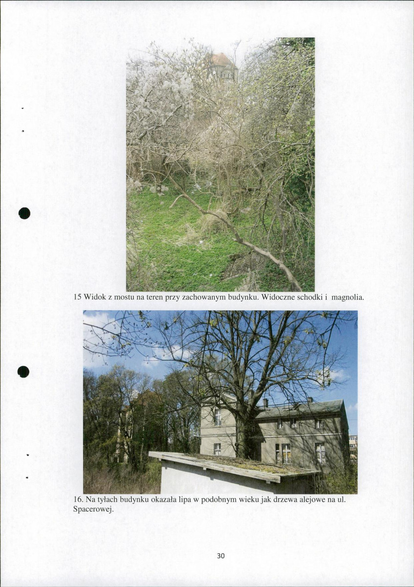Ewidencja parkowa, skan nr 30