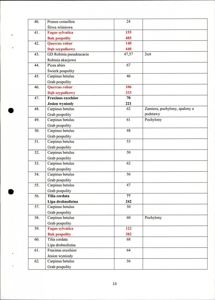 EP - Ewidencja parkowa, skan nr 13