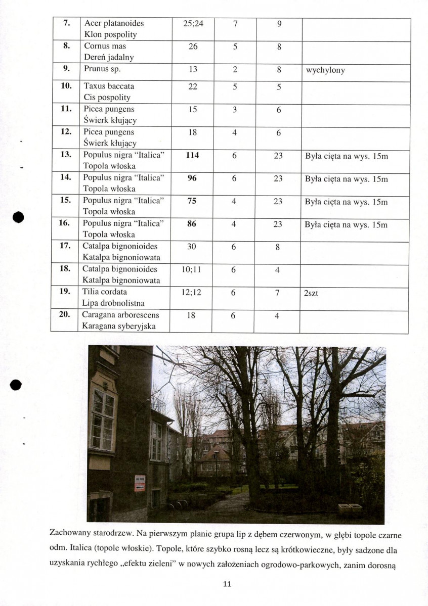 EP - Ewidencja parkowa, skan nr 11