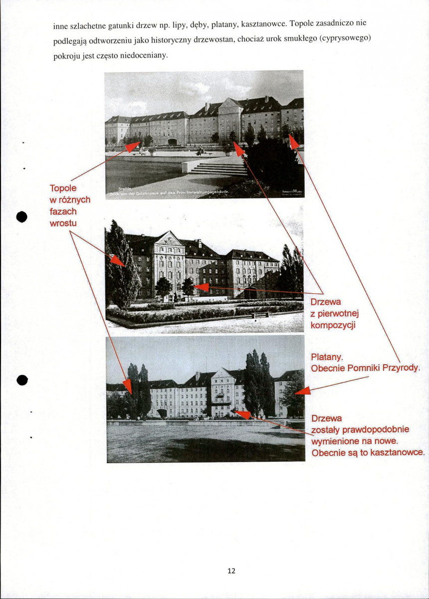 EP - Ewidencja parkowa, skan nr 12