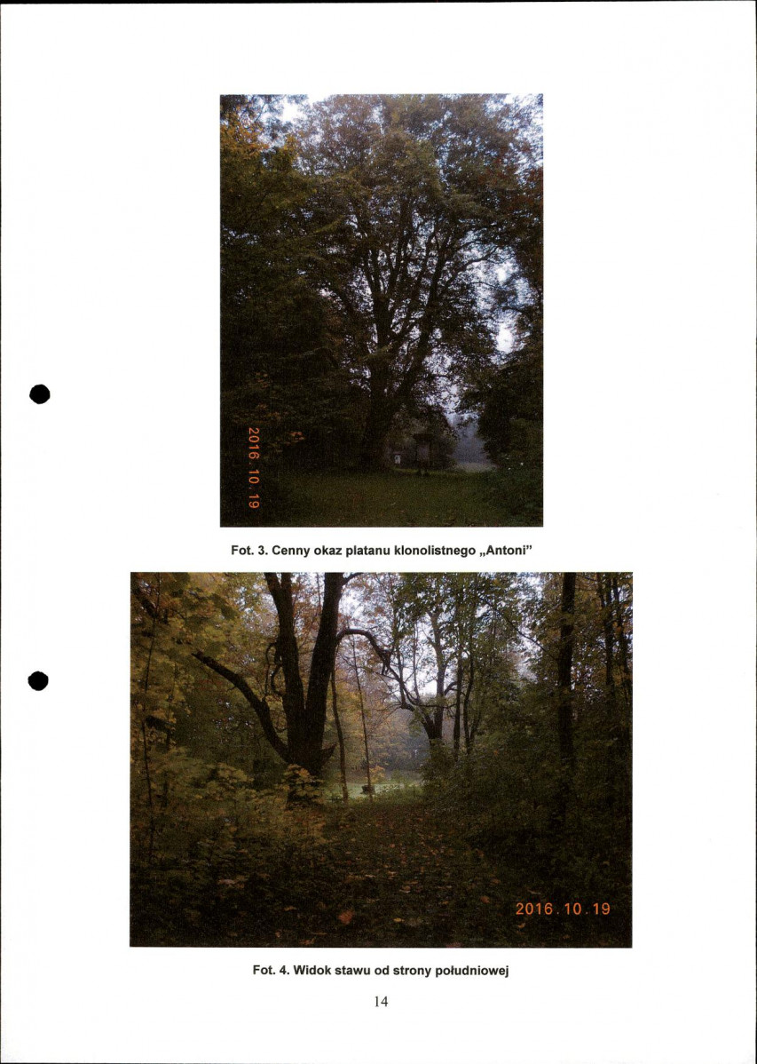 Ewidencja parkowa, skan nr 16