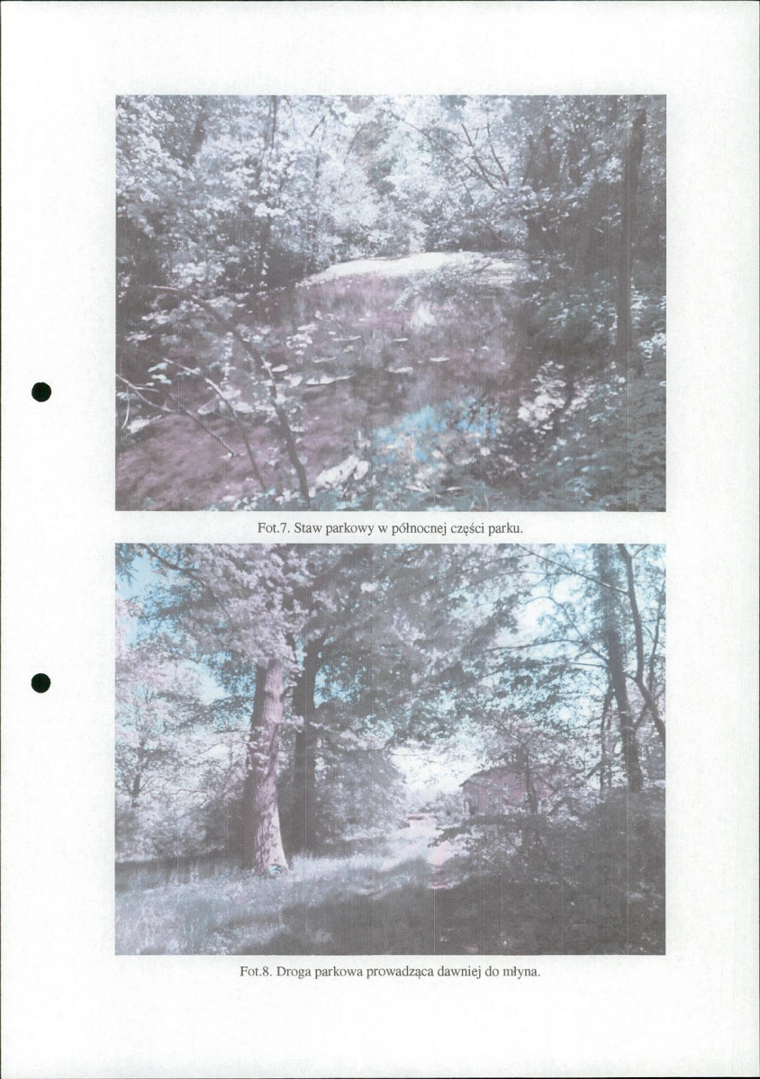 Ewidencja parkowa, skan nr 35