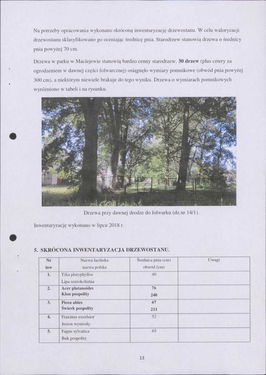 Ewidencja parkowa, skan nr 13