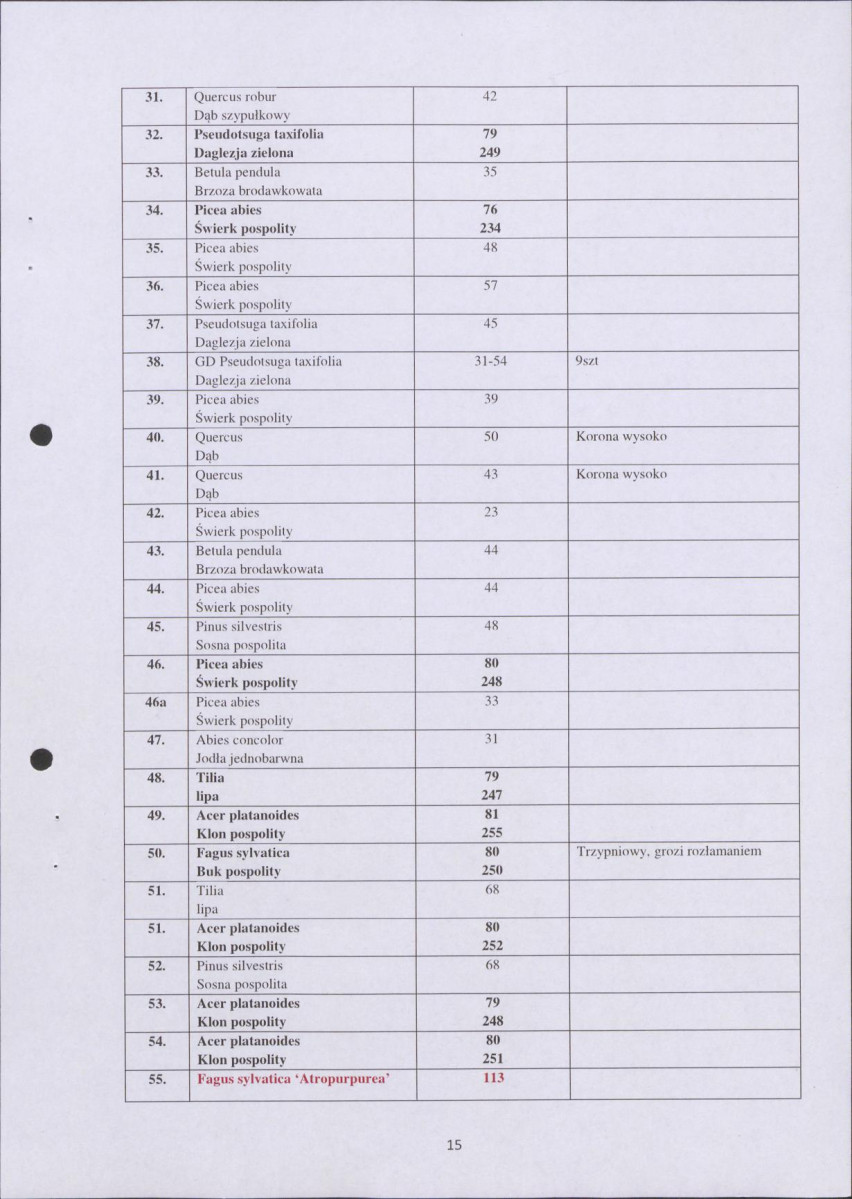 Ewidencja parkowa, skan nr 15