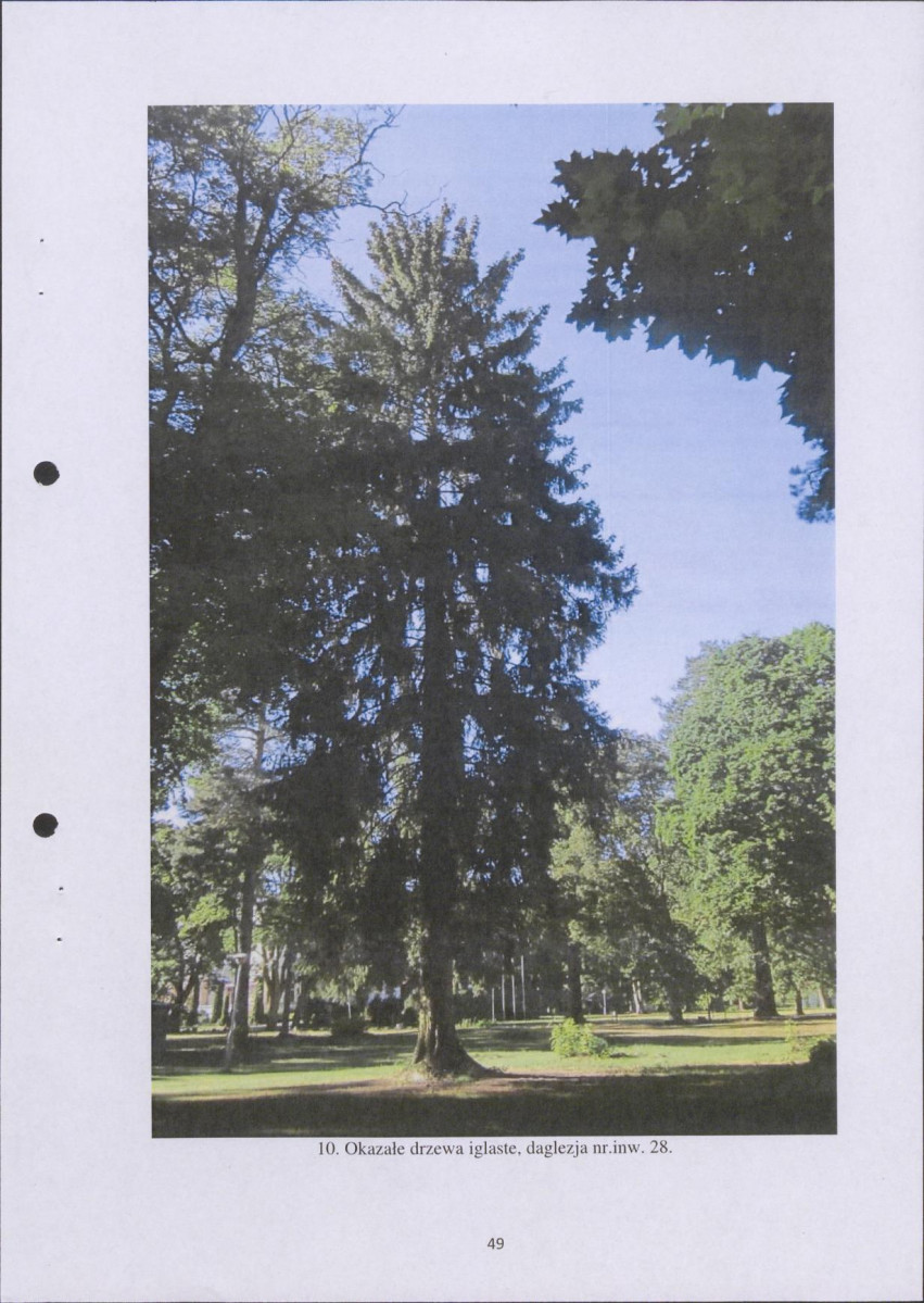 Ewidencja parkowa, skan nr 49