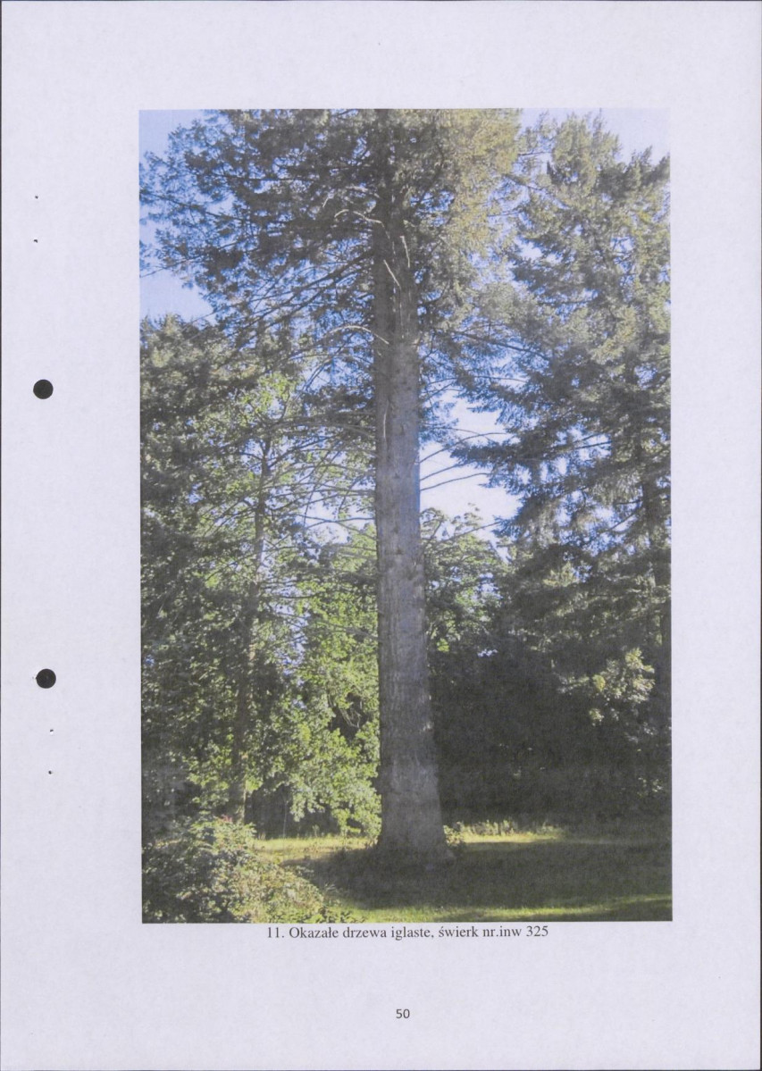 Ewidencja parkowa, skan nr 50