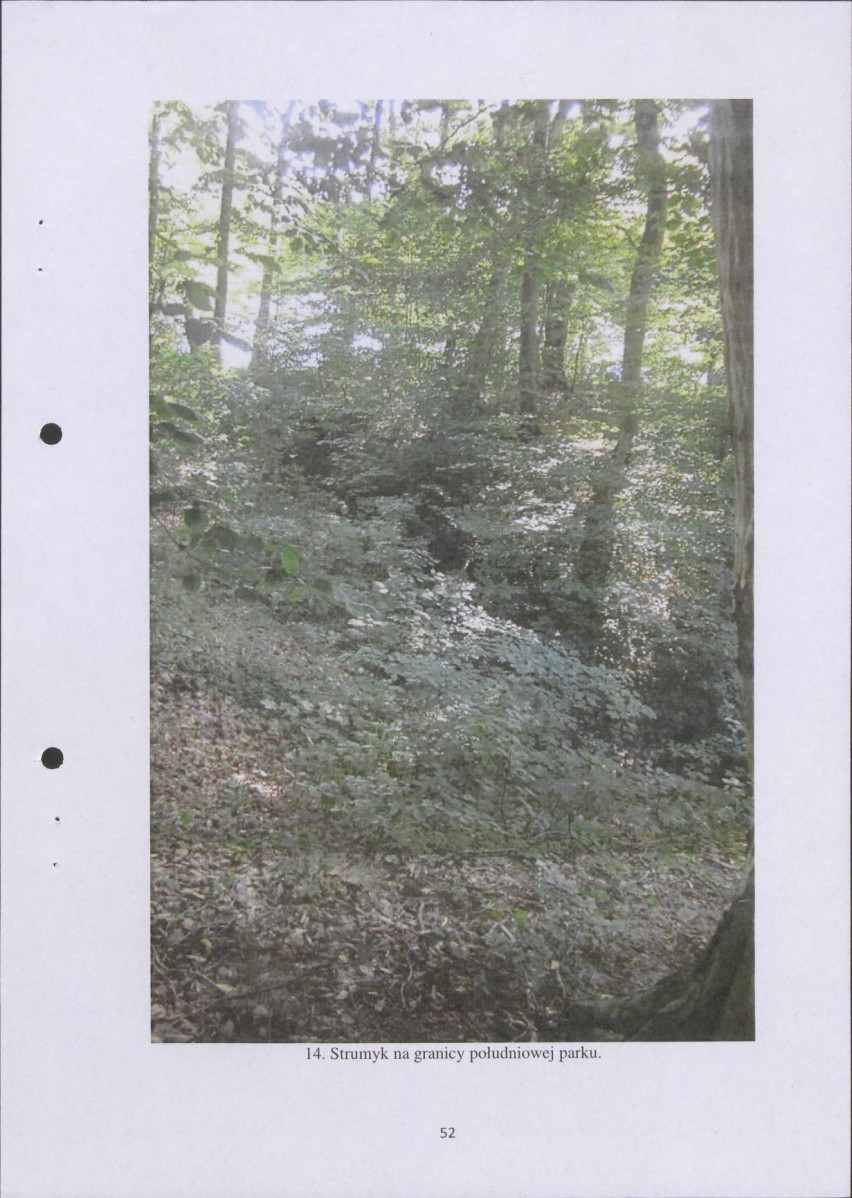 Ewidencja parkowa, skan nr 52