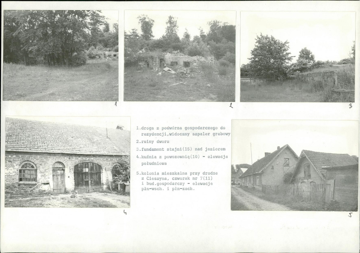 Karta biała, skan nr 12