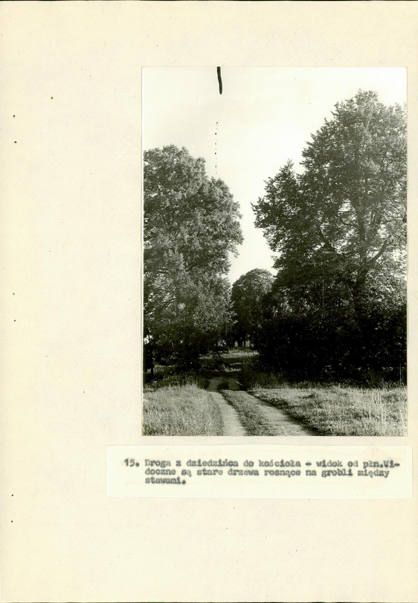 Ewidencja parkowa, skan nr 46