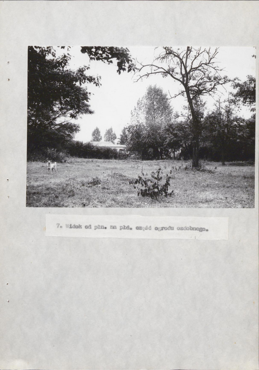 Ewidencja parkowa, skan nr 29