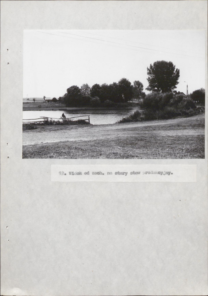 Ewidencja parkowa, skan nr 34