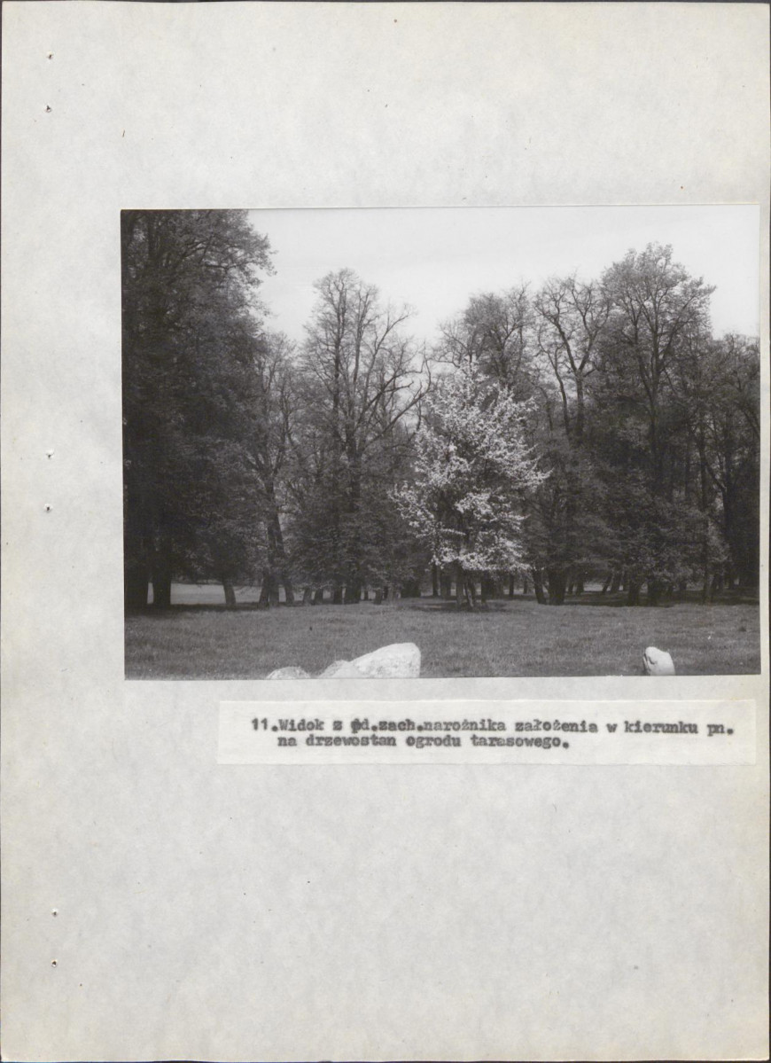 Ewidencja parkowa, skan nr 55