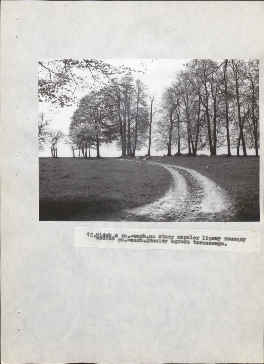 Ewidencja parkowa, skan nr 56
