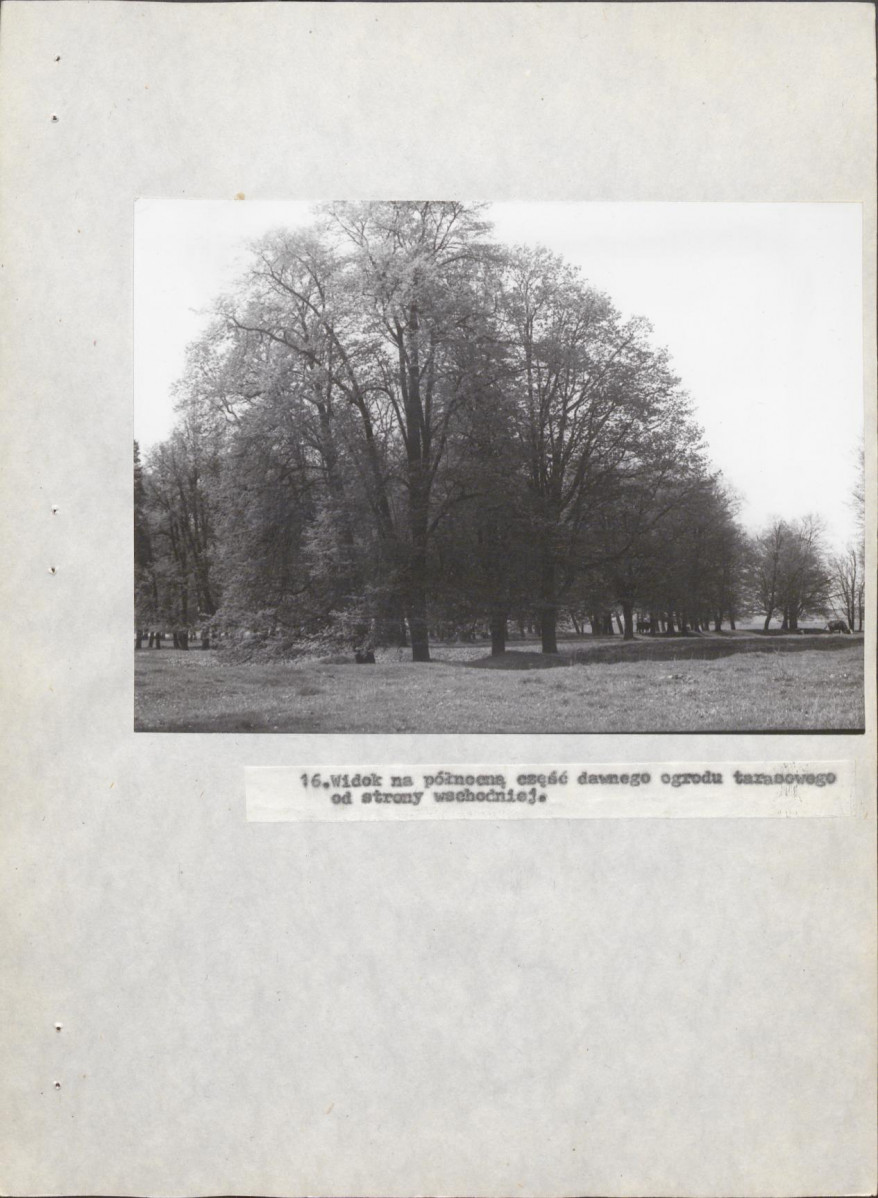Ewidencja parkowa, skan nr 60
