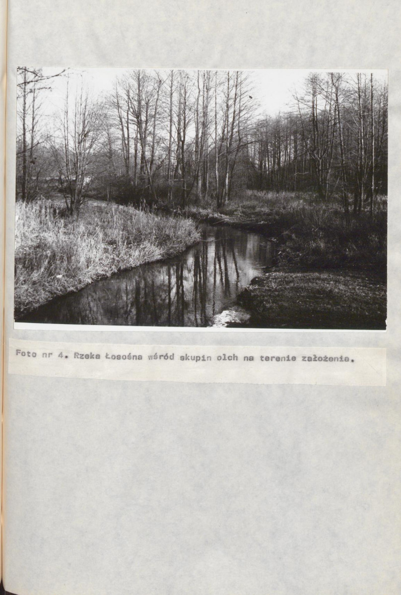 EP - Ewidencja parkowa, skan nr 43
