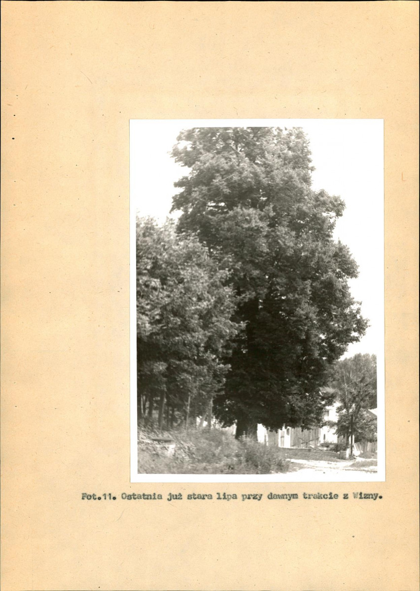 EP - Ewidencja parkowa, skan nr 32