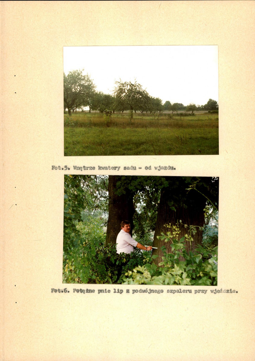 EP - Ewidencja parkowa, skan nr 28