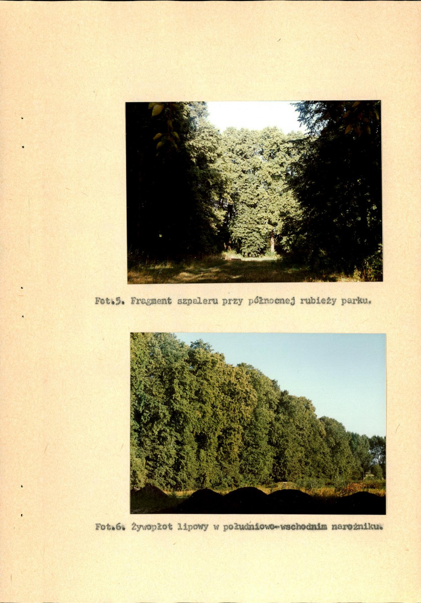 EP - Ewidencja parkowa, skan nr 25