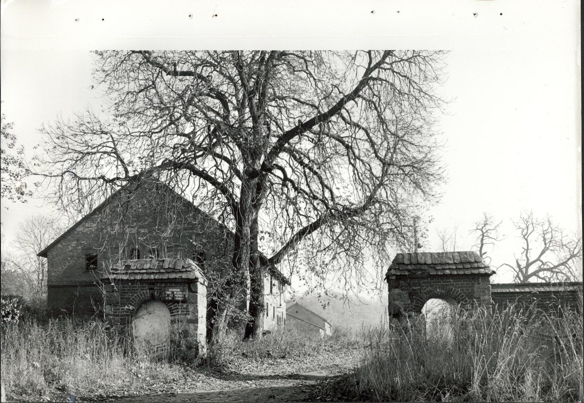 Ewidencja parkowa, skan nr 28