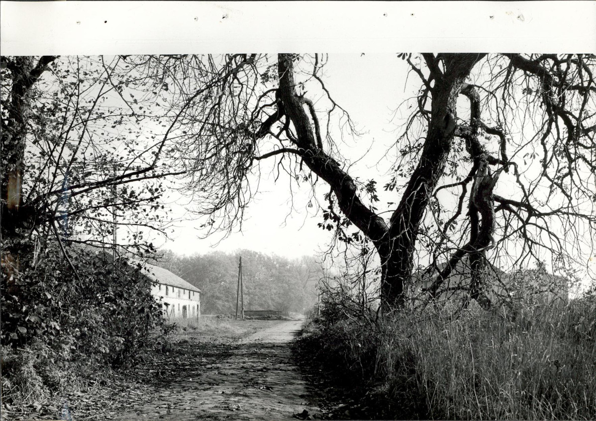 Ewidencja parkowa, skan nr 30