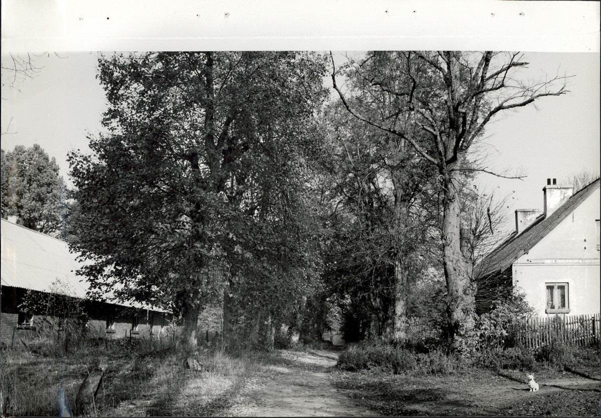 Ewidencja parkowa, skan nr 32