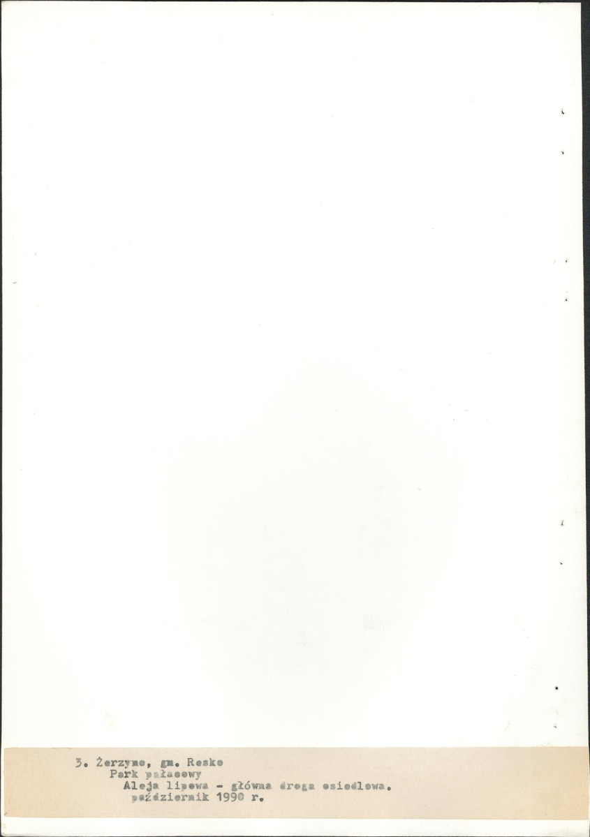 Ewidencja parkowa, skan nr 33