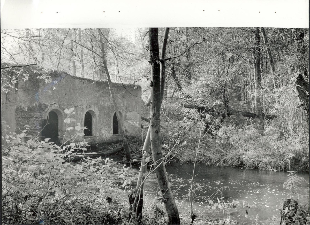 Ewidencja parkowa, skan nr 44