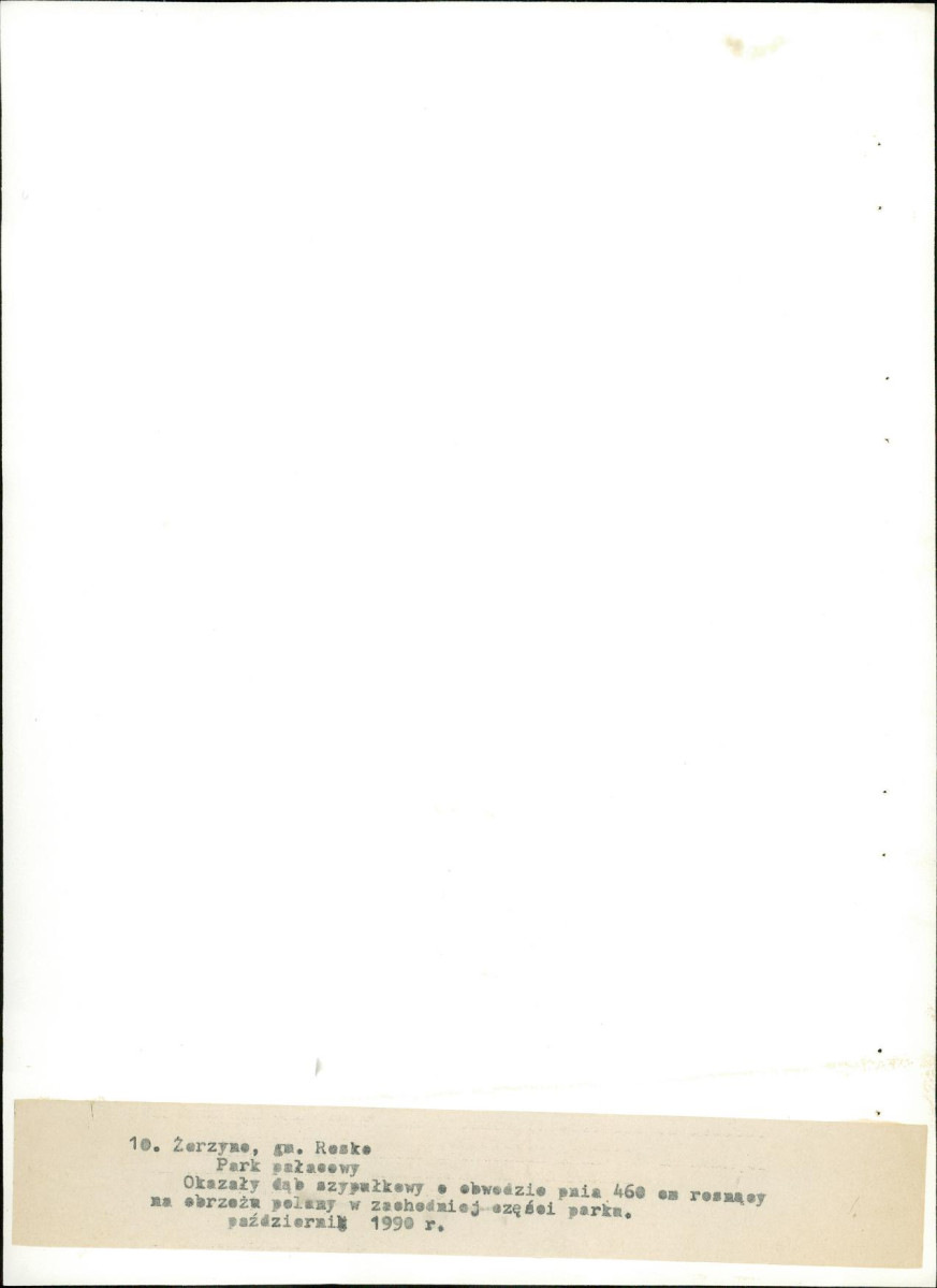 Ewidencja parkowa, skan nr 47
