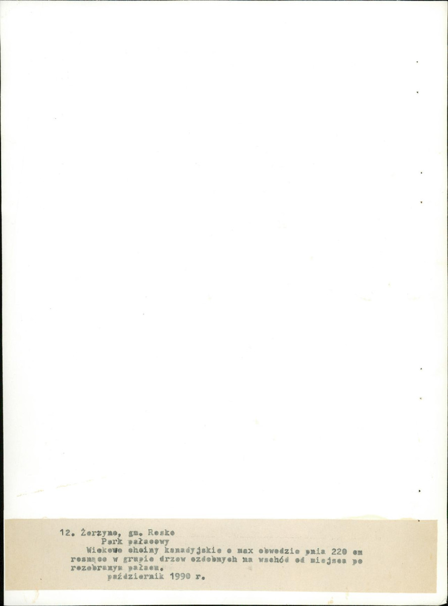 Ewidencja parkowa, skan nr 51