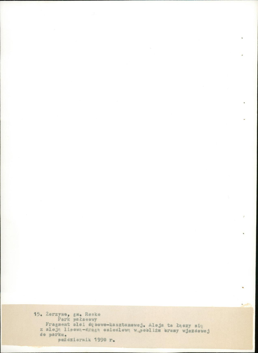 Ewidencja parkowa, skan nr 57